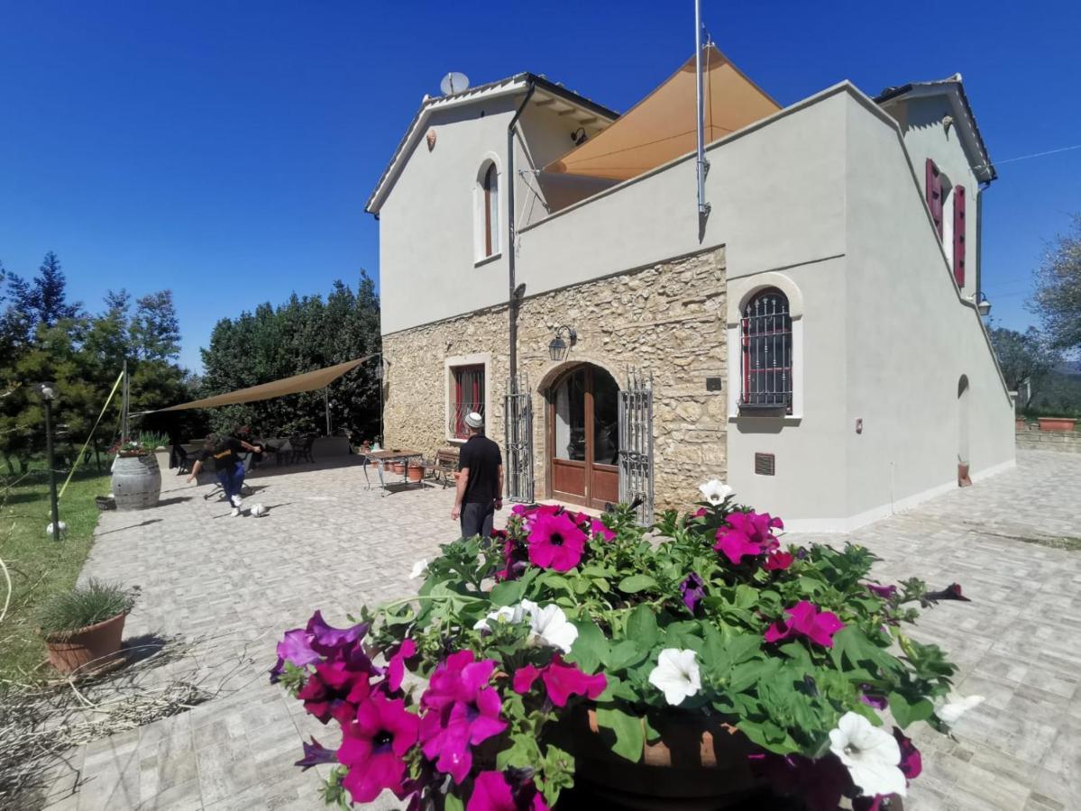 Le Giuncaie - Vigna Con Alloggio Montescudaio Exterior photo