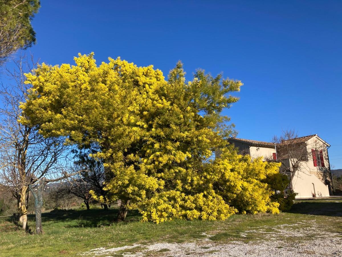Le Giuncaie - Vigna Con Alloggio Montescudaio Exterior photo