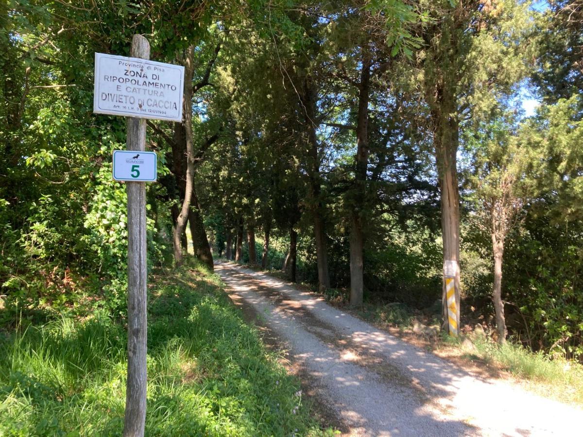Le Giuncaie - Vigna Con Alloggio Montescudaio Exterior photo
